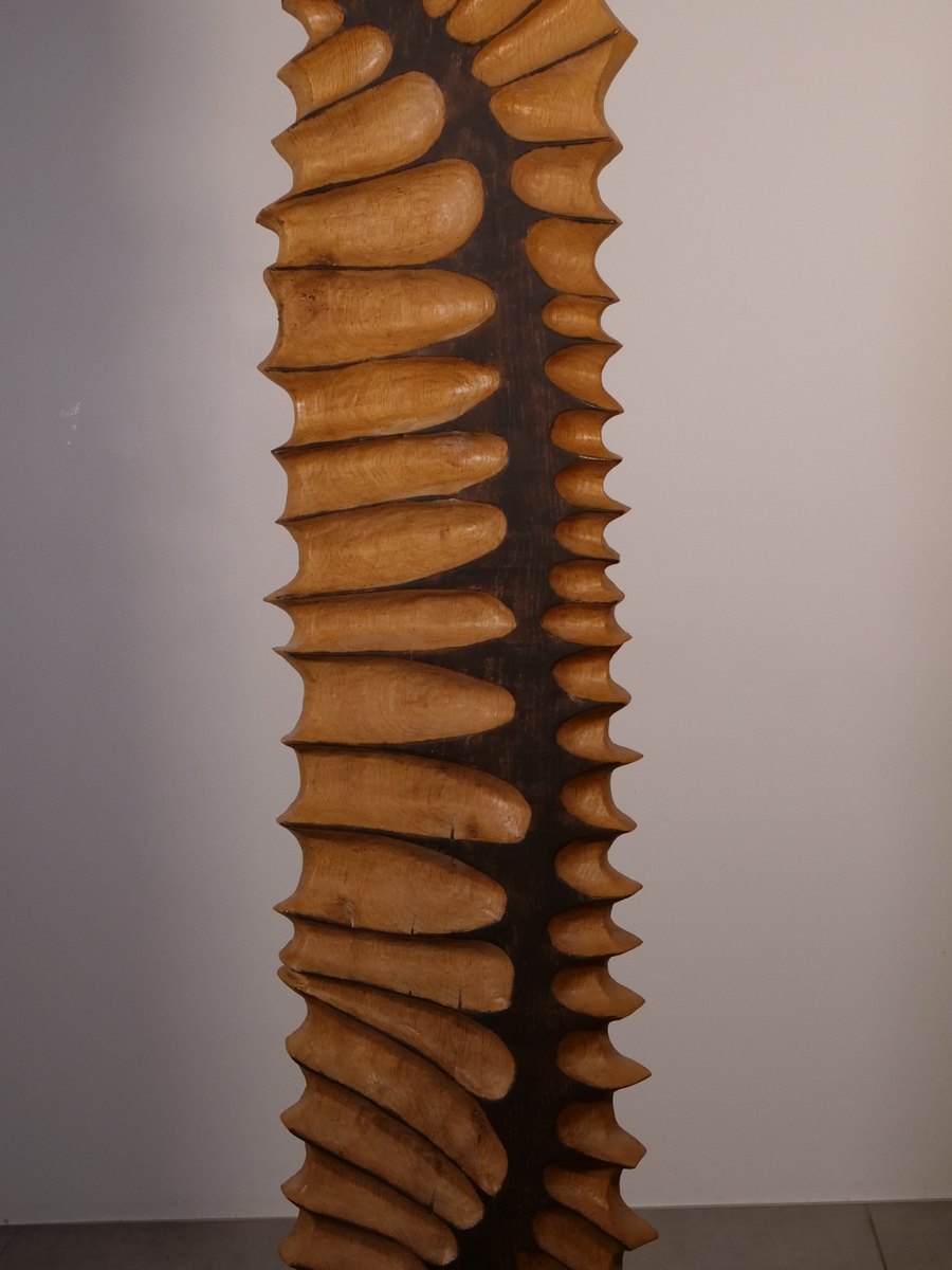 Épi, détail des lobes