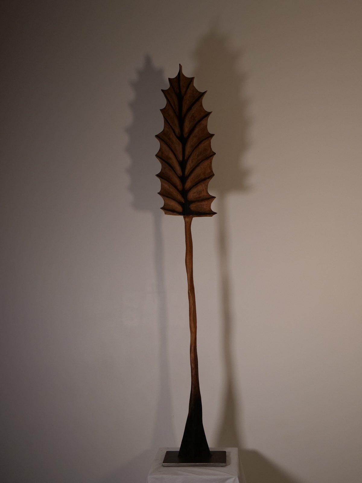 Feuille, vue d'ensemble