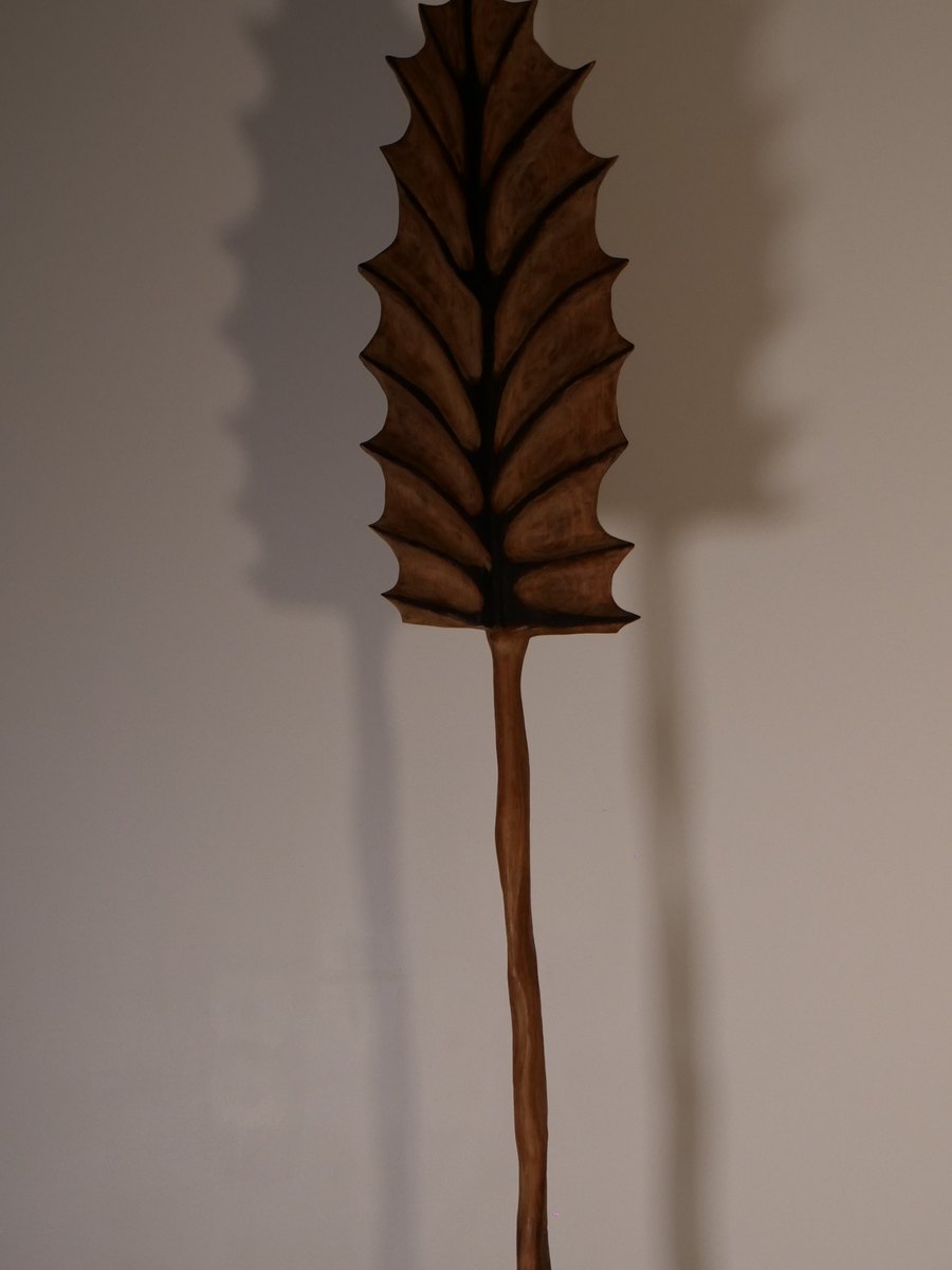 Feuille, détail des nervures