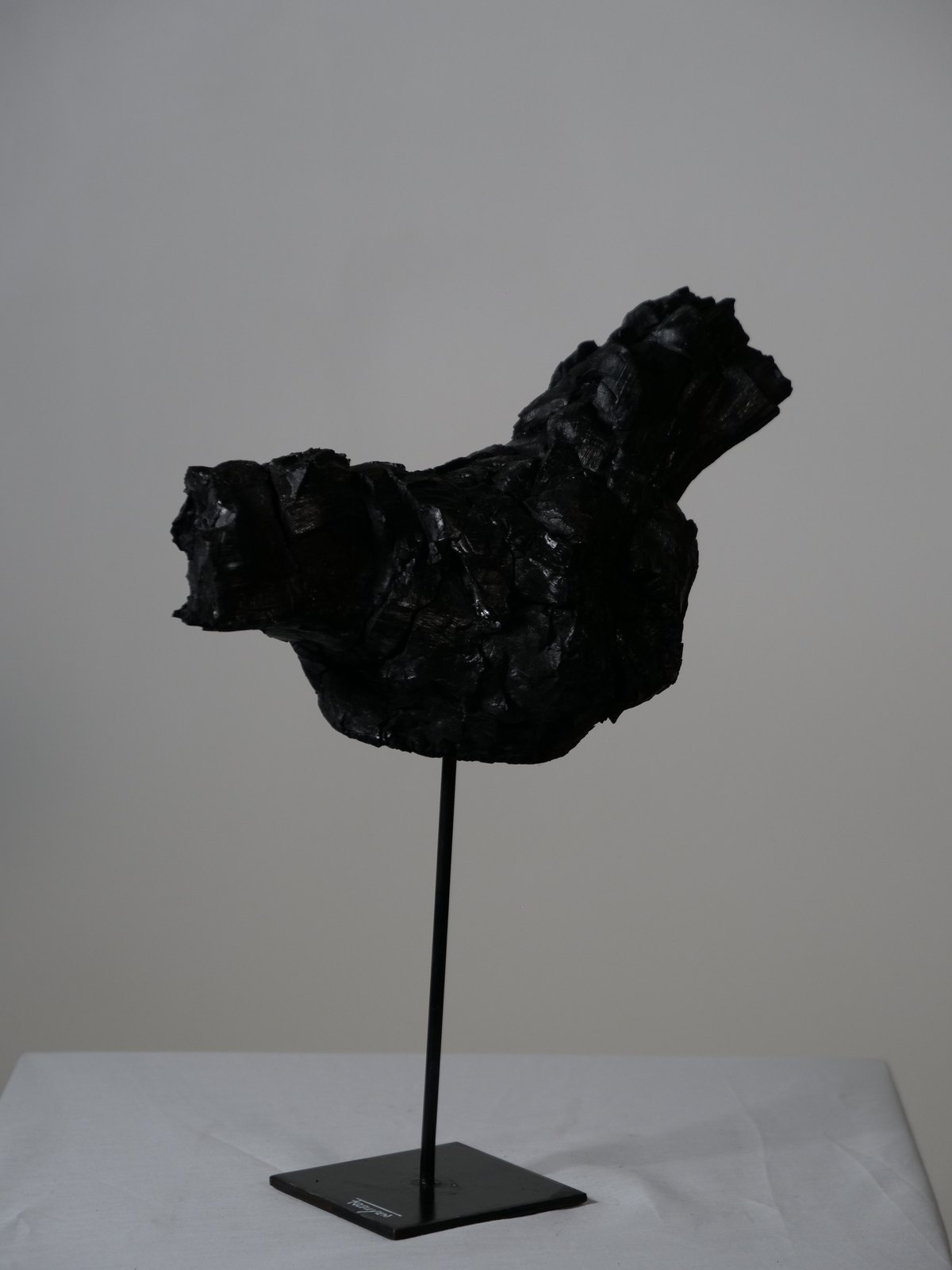 Oiseau, détail du bois brûlé