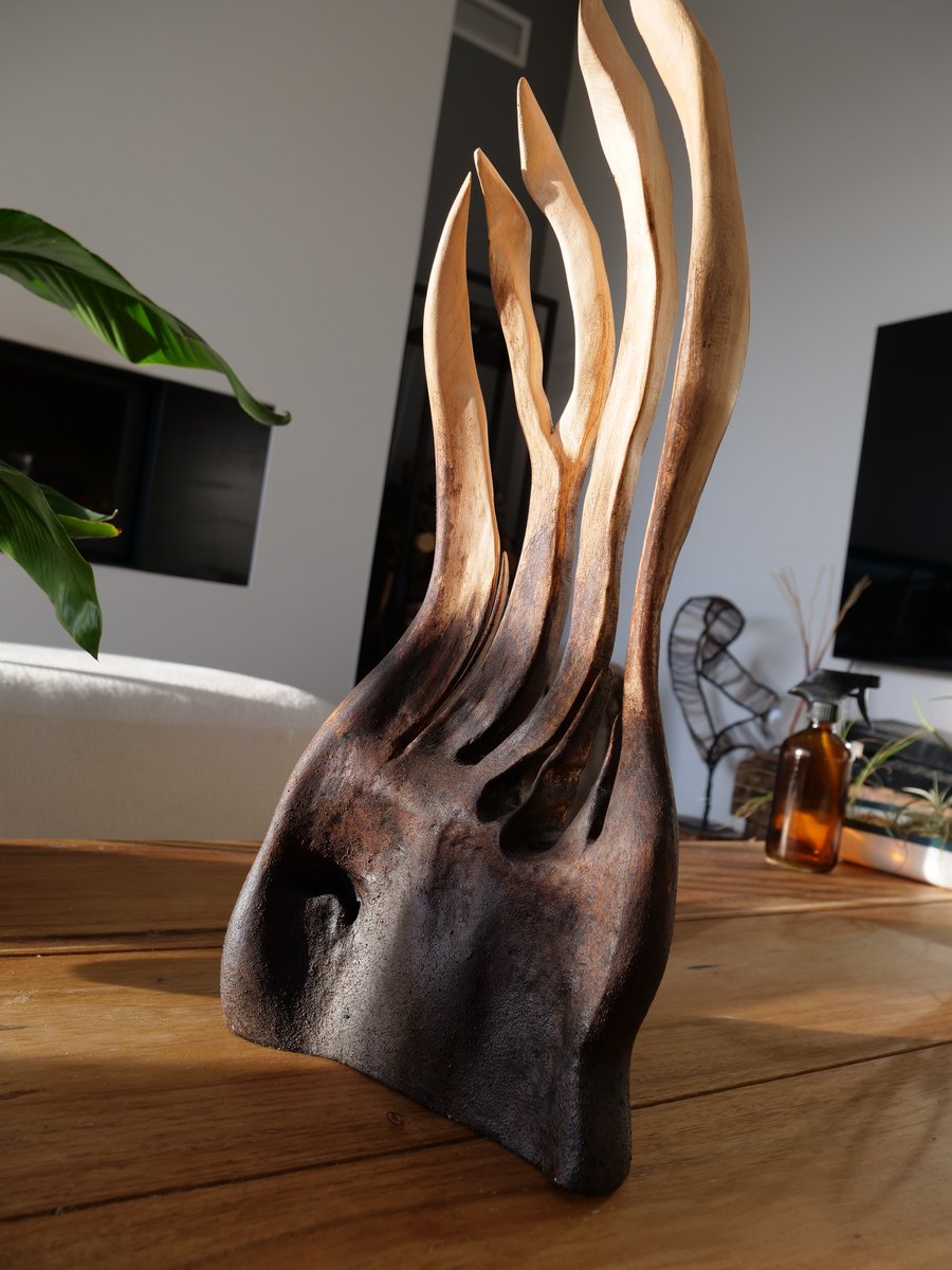 Socle brûlé d'où montent des langues de bois clair